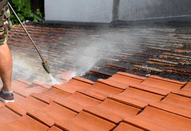 Best Deck Pressure Washing  in San Felipe, TX