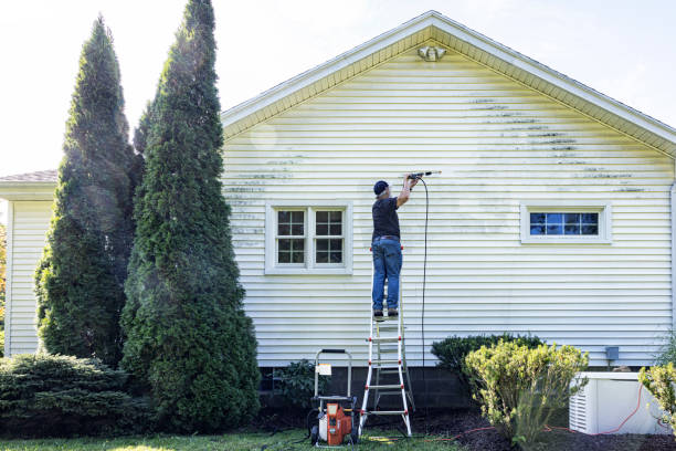 Best Deck Pressure Washing  in San Felipe, TX