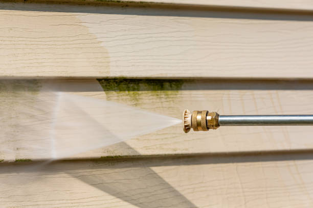 Best Affordable Power Washing  in San Felipe, TX